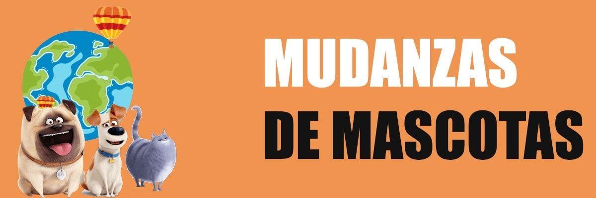 traslado-mudanzas-mascotas-en-salamanca